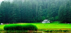 Khajjiar, Himachal, India, Asia, Travel Leads