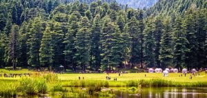 Khajjiar, Himachal, India, Asia, Travel Leads