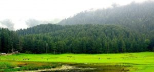 Khajjiar, Himachal, India, Asia, Travel Leads