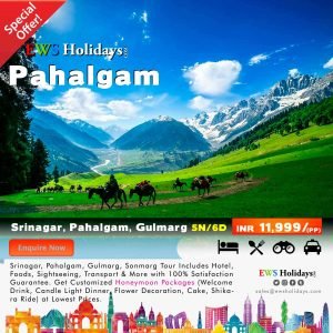 Pehlgam Tour 5N/6D @ 11,999