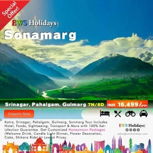 Sonamarg Tour 7N/8D @ 16,499