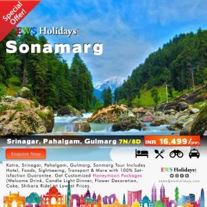 Sonamarg Tour 7N/8D @ 16,499