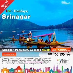 Srinagar Tour 4N/5D @ 7,999