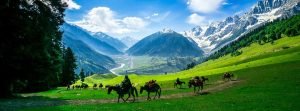 Kashmir Travel Guide