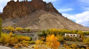 Autumnal Zanskar, Leh, Ladakh, India, Asia