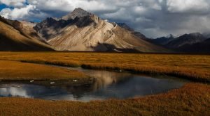 Suru Valley, Kargil, Ladakh, India, Asia