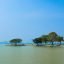 Hussain Sagar Lake, Hyderabad, Telangana, India, Asia