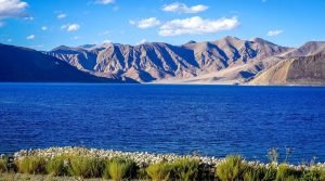 Pangong Tso, Leh, Ladakh, Jammu and Kashmir, India