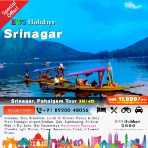 Kashmir Tour 3N/4D @ 11,999